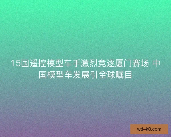 15国遥控模型车手激烈竞逐厦门赛场 中国模型车发展引全球瞩目 15国遥控模型车手激烈竞逐厦门赛场 中国模型车发展引全球瞩目
