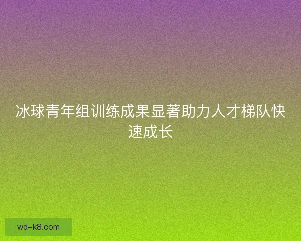 冰球青年组训练成果显著助力人才梯队快速成长