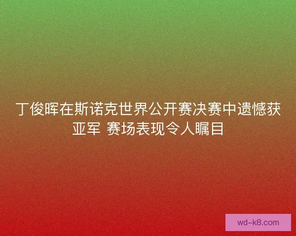 丁俊晖在斯诺克世界公开赛决赛中遗憾获亚军 赛场表现令人瞩目